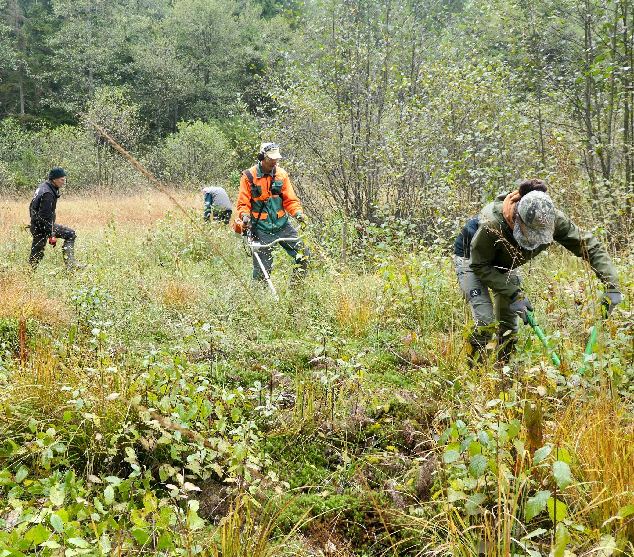 Landesbund für Vogel- und Naturschutz Kreisgruppe Regen